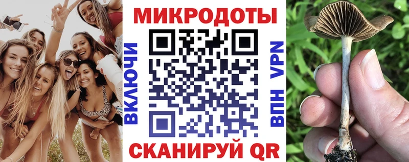 Купить где  Новотитаровская  Галлюциногенные грибы Psilocybe 