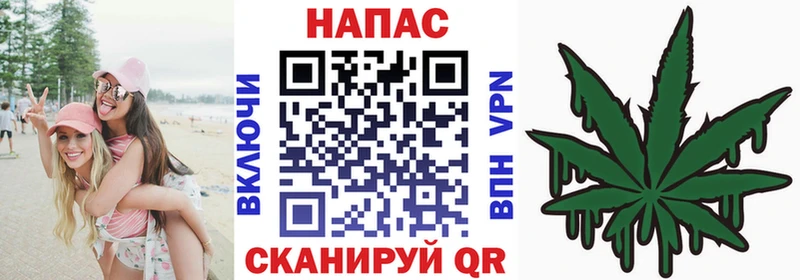 Бошки Шишки индика  Купить закладки  Новотитаровская 